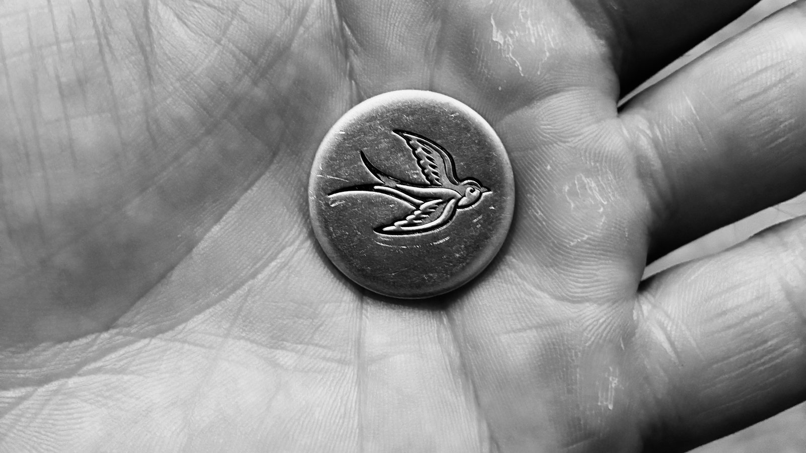 The pocket sparrow in an open hand